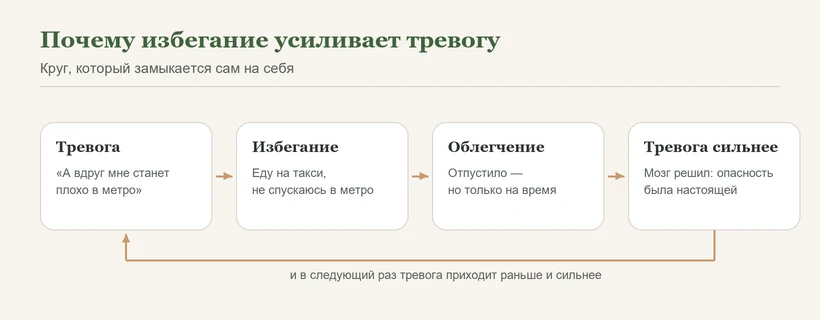 Круг избегания при тревоге: тревога, избегание, кратковременное облегчение и усиление тревоги